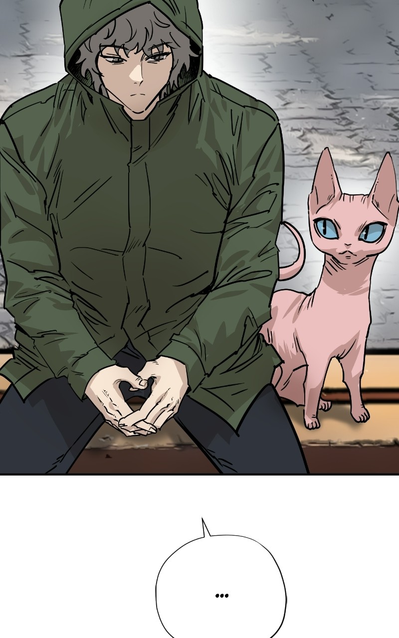 Read Meow Rangers Manga Online
