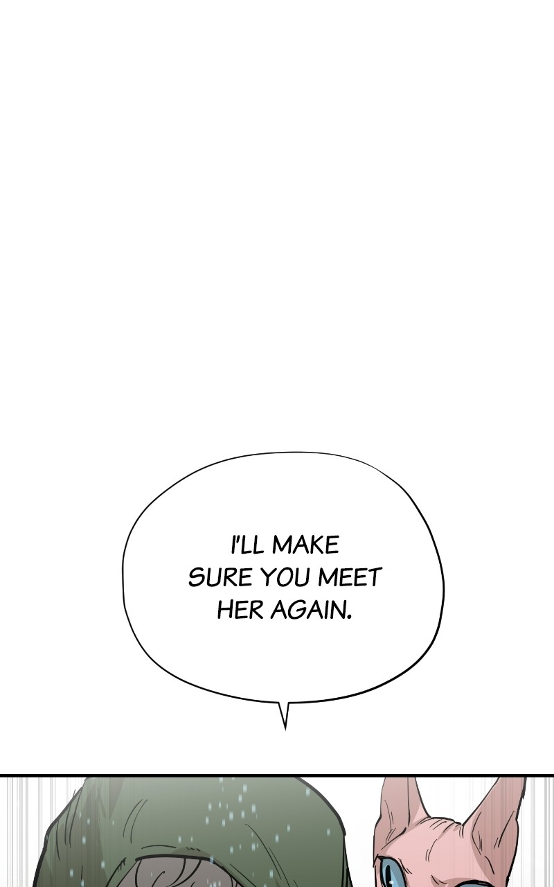 Read Meow Rangers Manga Online