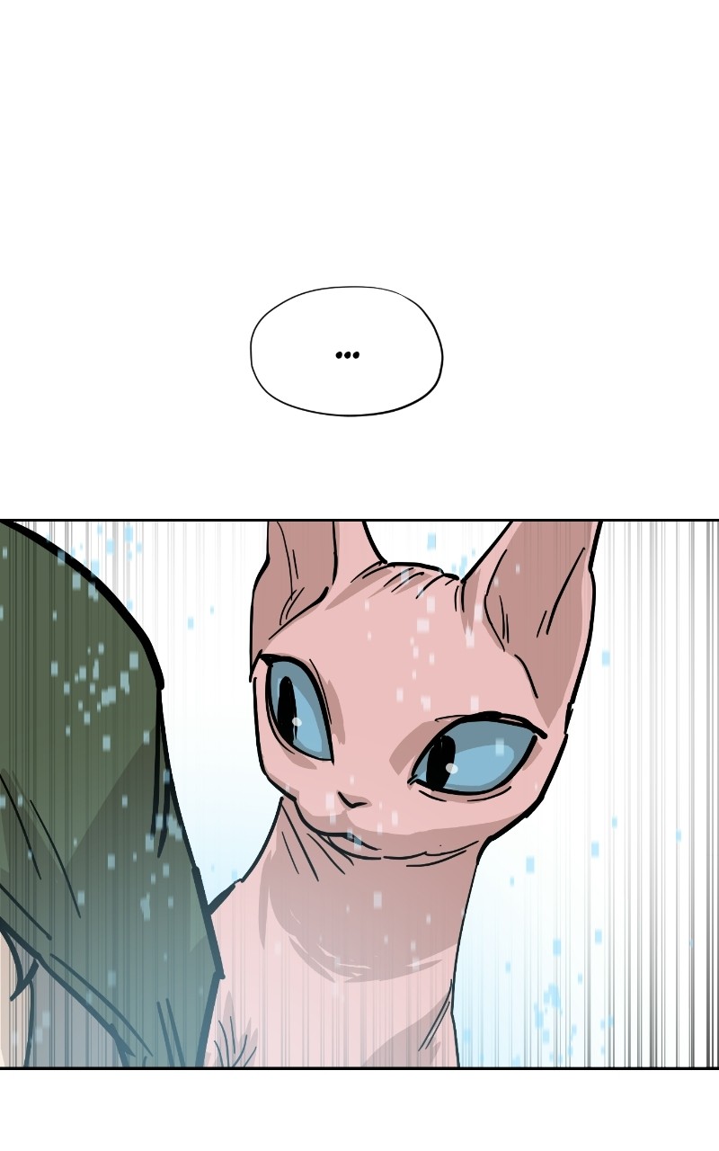 Read Meow Rangers Manga Online