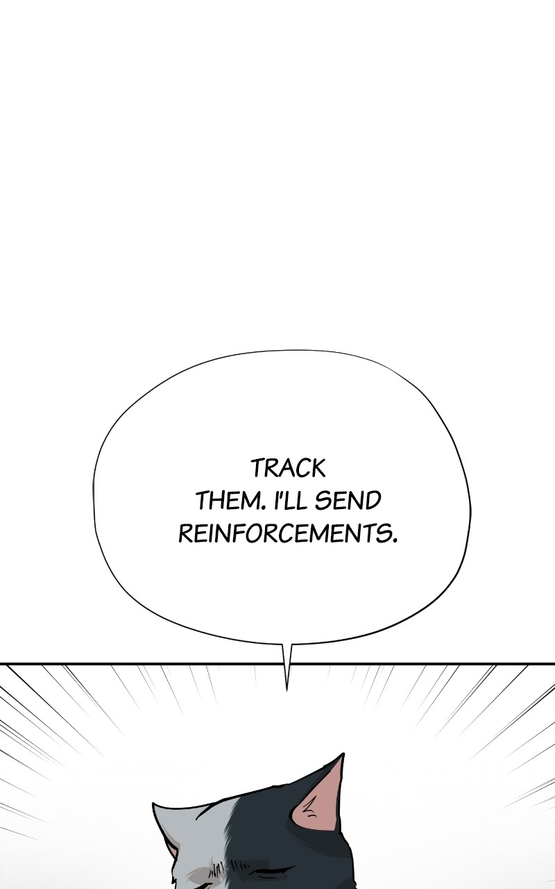 Read Meow Rangers Manga Online