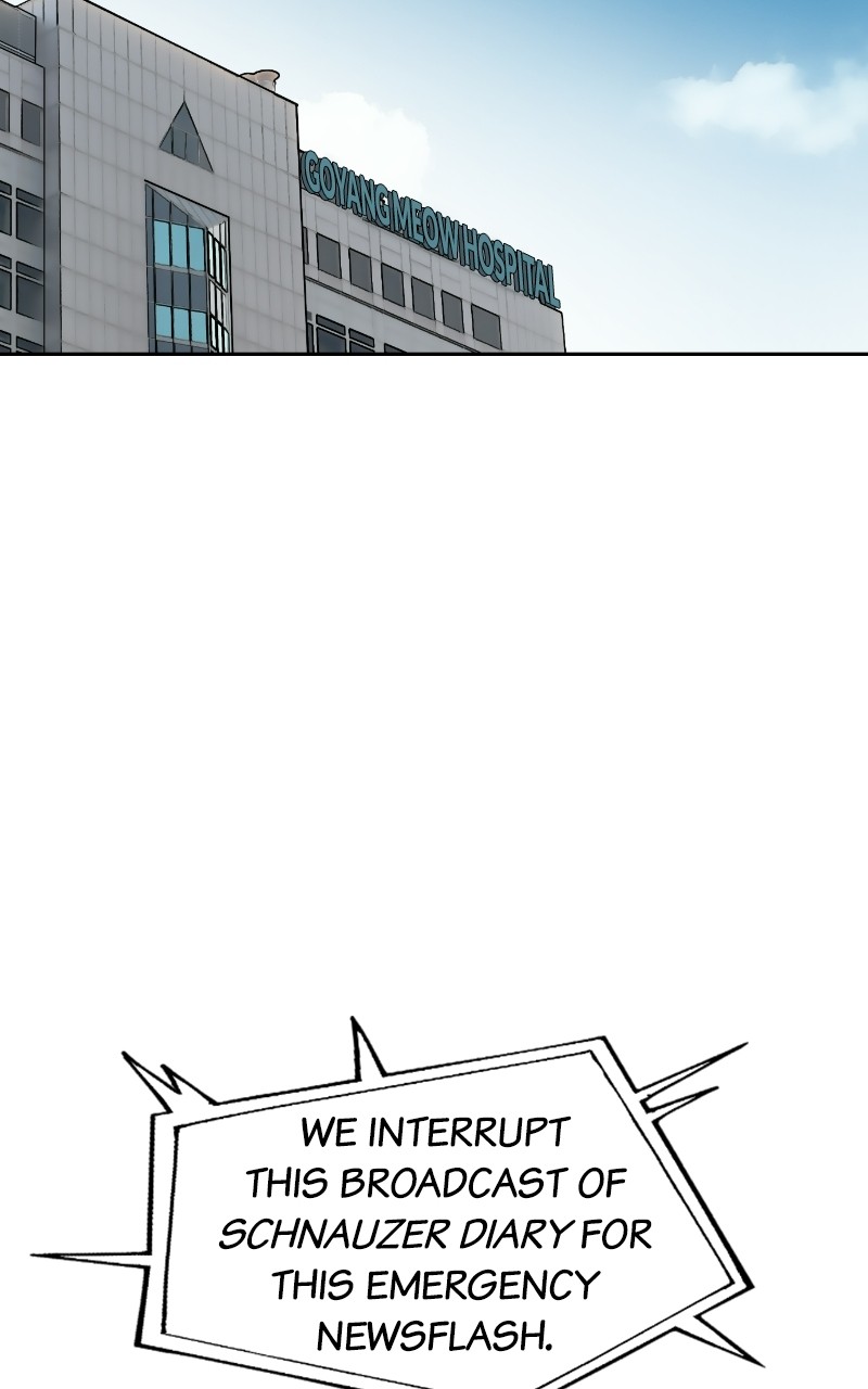 Read Meow Rangers Manga Online