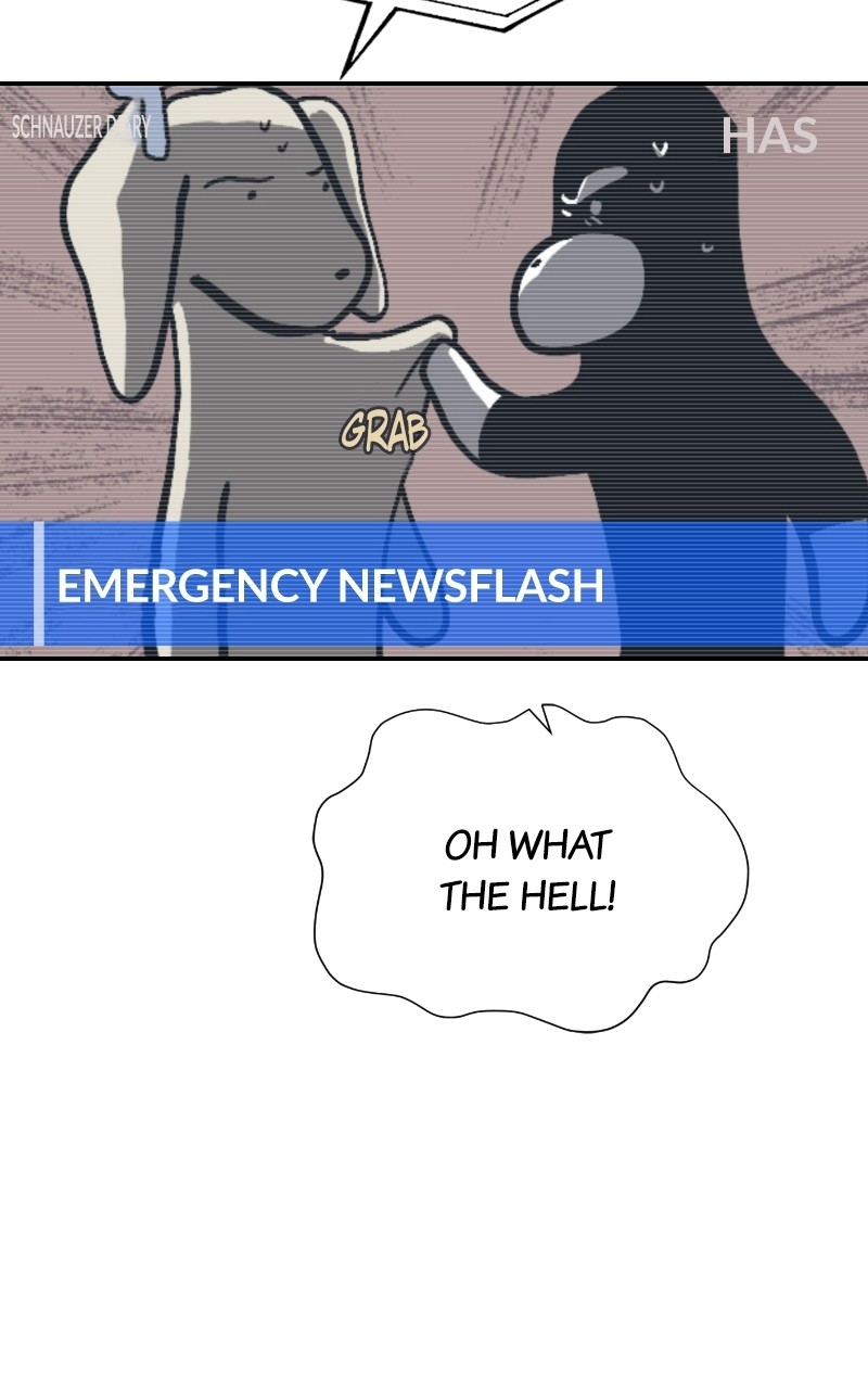 Read Meow Rangers Manga Online