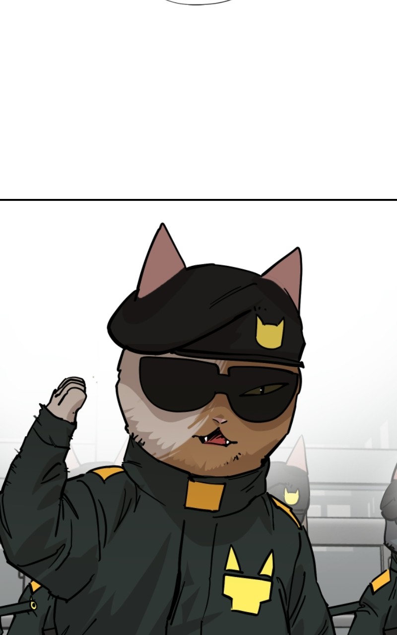 Read Meow Rangers Manga Online