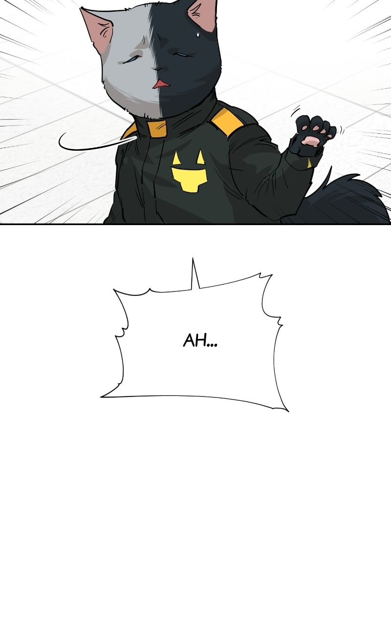 Read Meow Rangers Manga Online