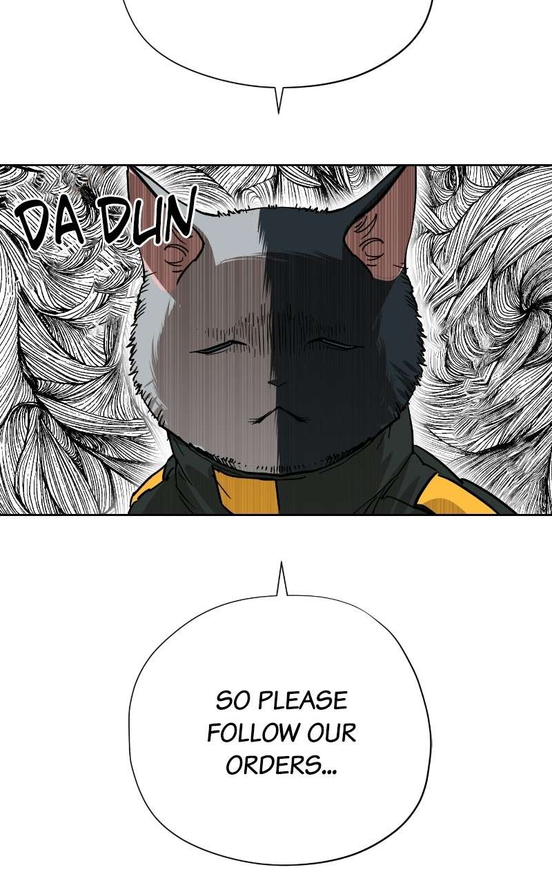 Read Meow Rangers Manga Online