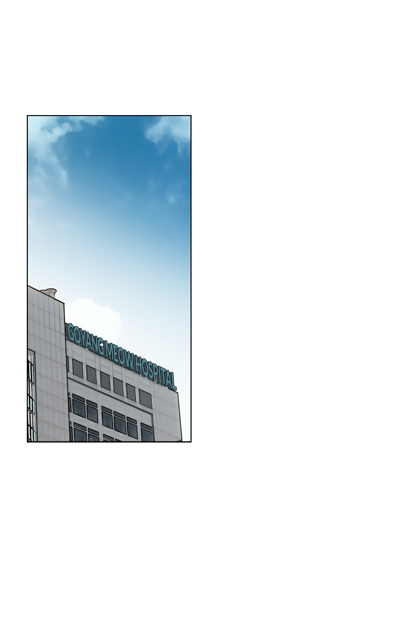 Read Meow Rangers Manga Online