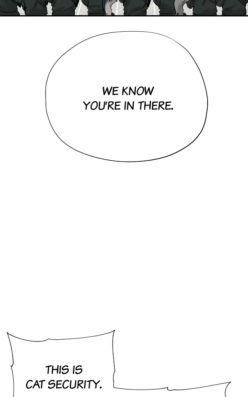 Read Meow Rangers Manga Online