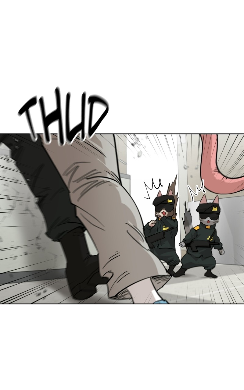 Read Meow Rangers Manga Online