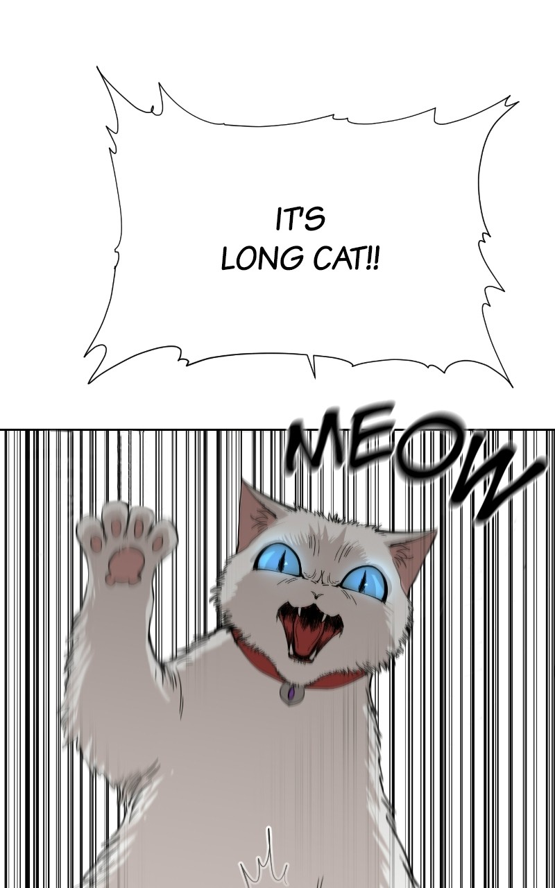 Read Meow Rangers Manga Online