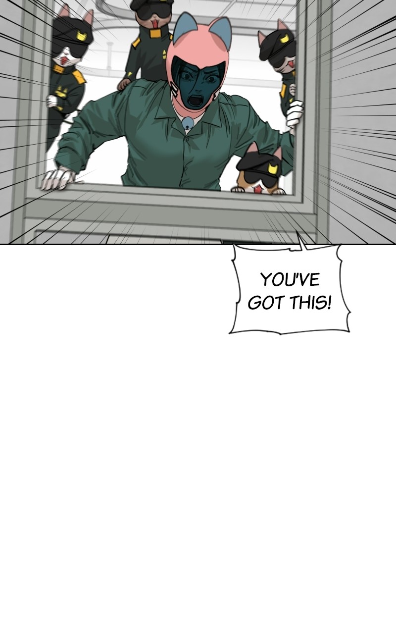 Read Meow Rangers Manga Online