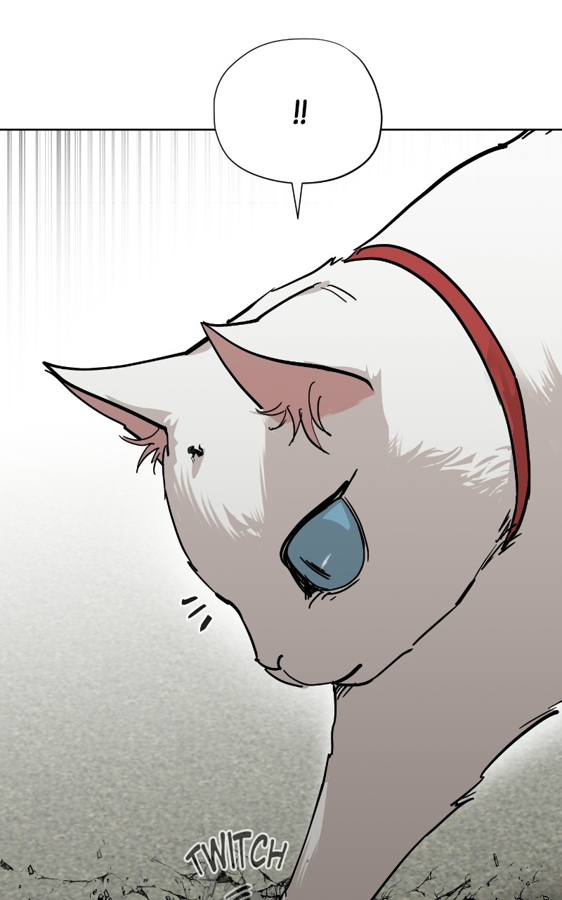 Read Meow Rangers Manga Online