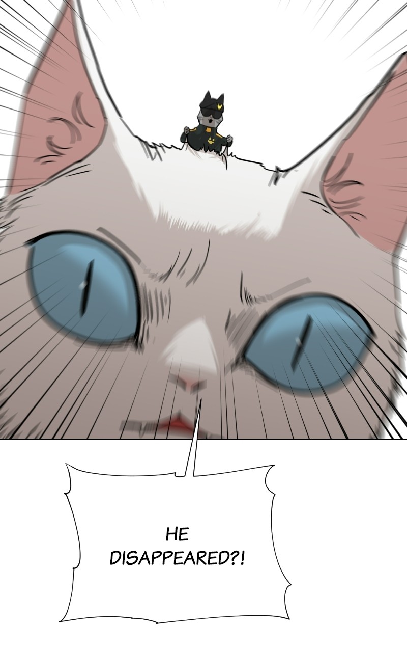 Read Meow Rangers Manga Online