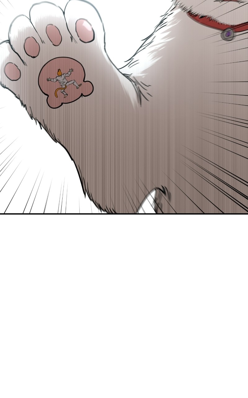 Read Meow Rangers Manga Online