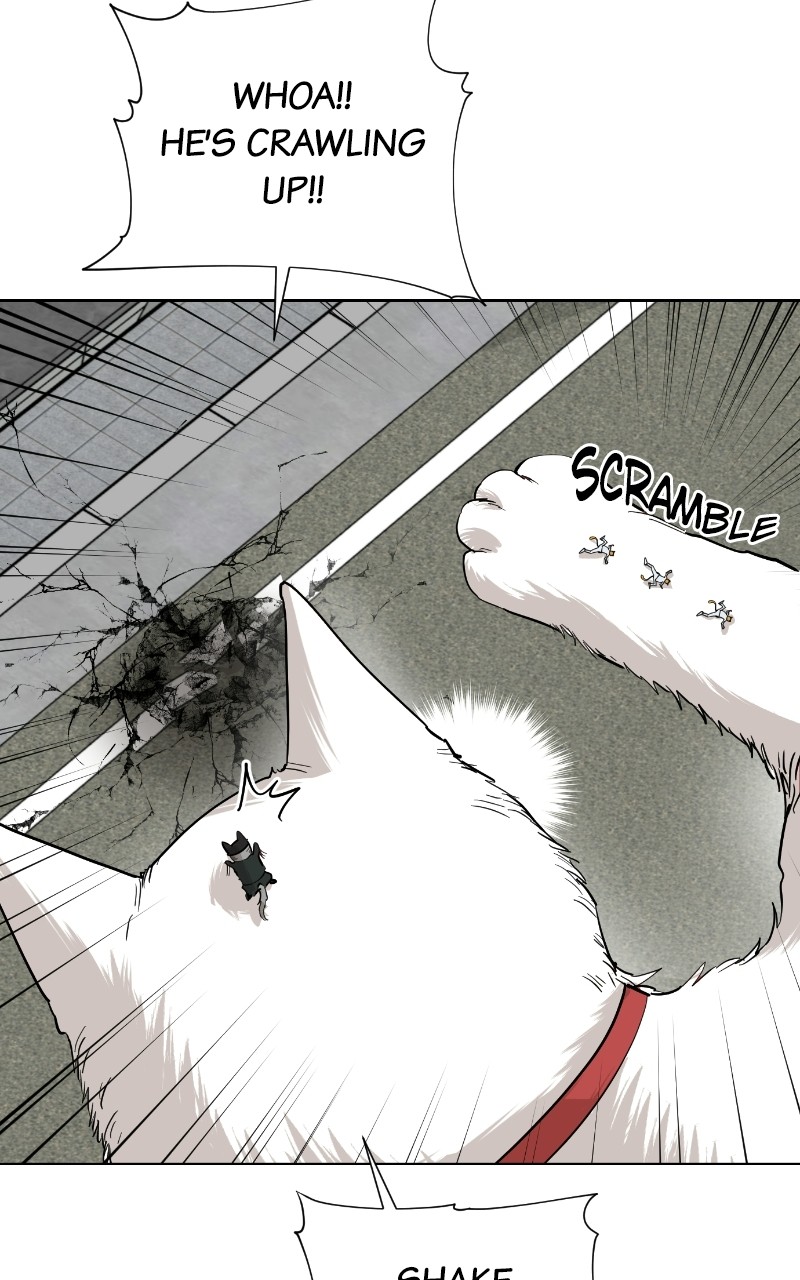 Read Meow Rangers Manga Online