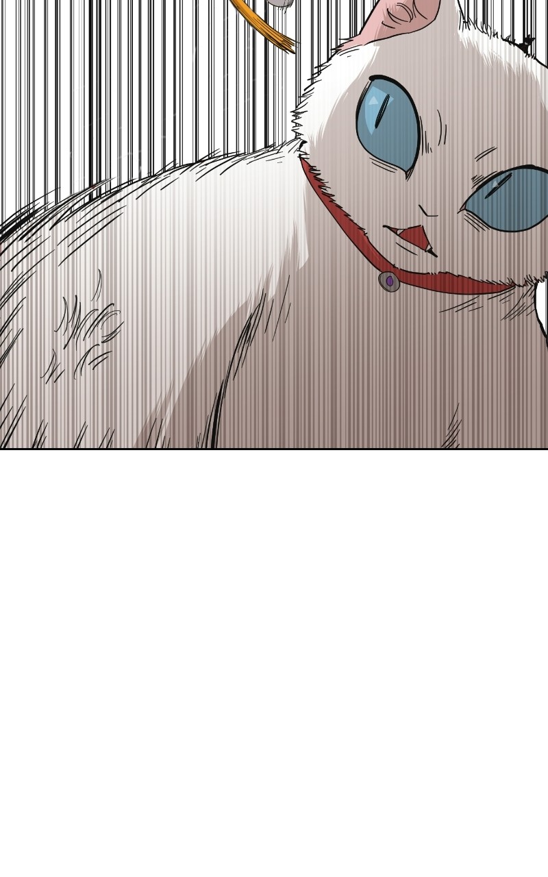 Read Meow Rangers Manga Online