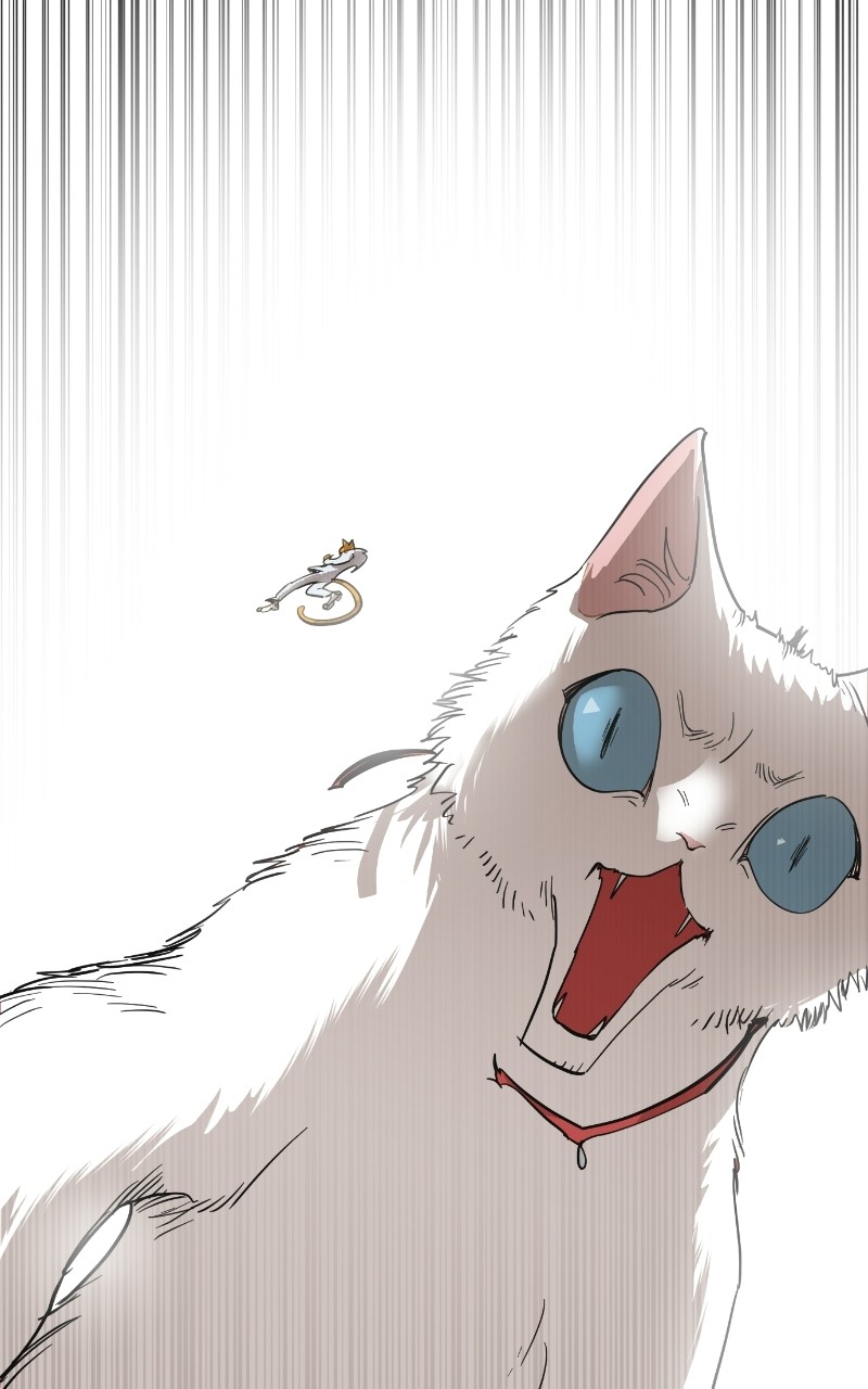 Read Meow Rangers Manga Online