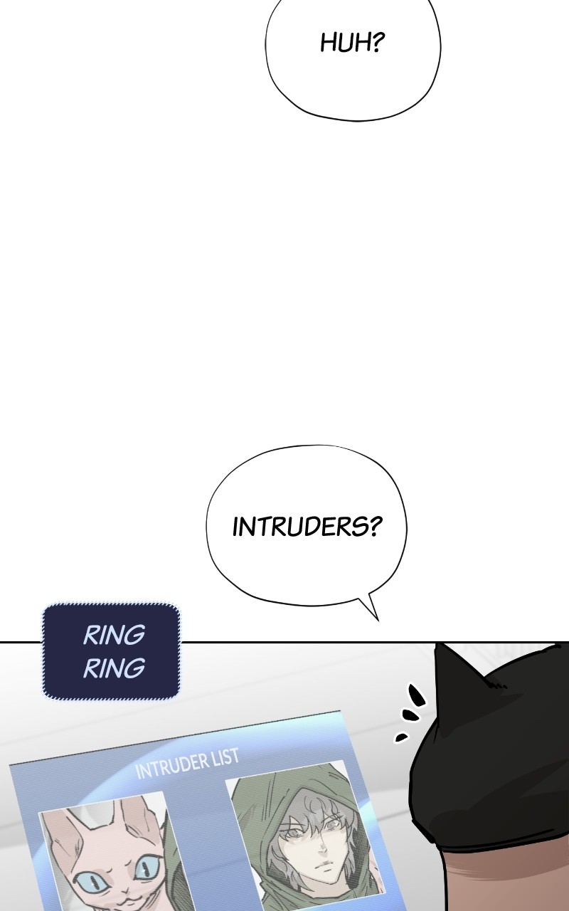 Read Meow Rangers Manga Online