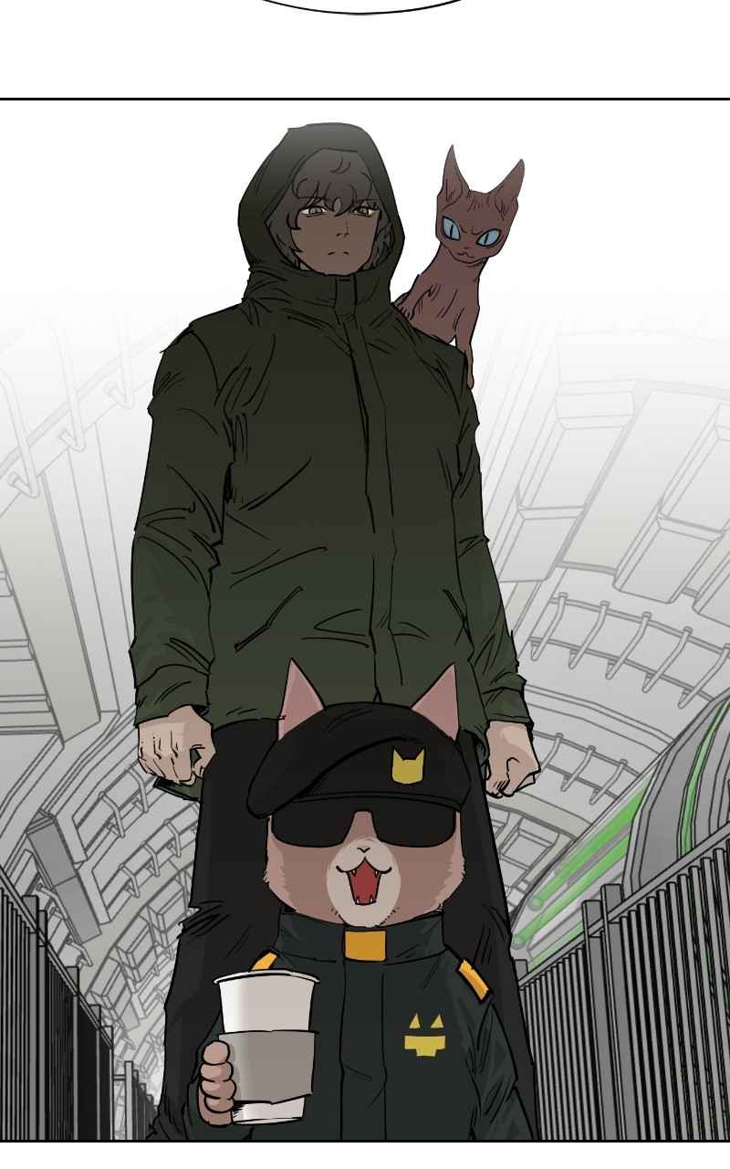 Read Meow Rangers Manga Online