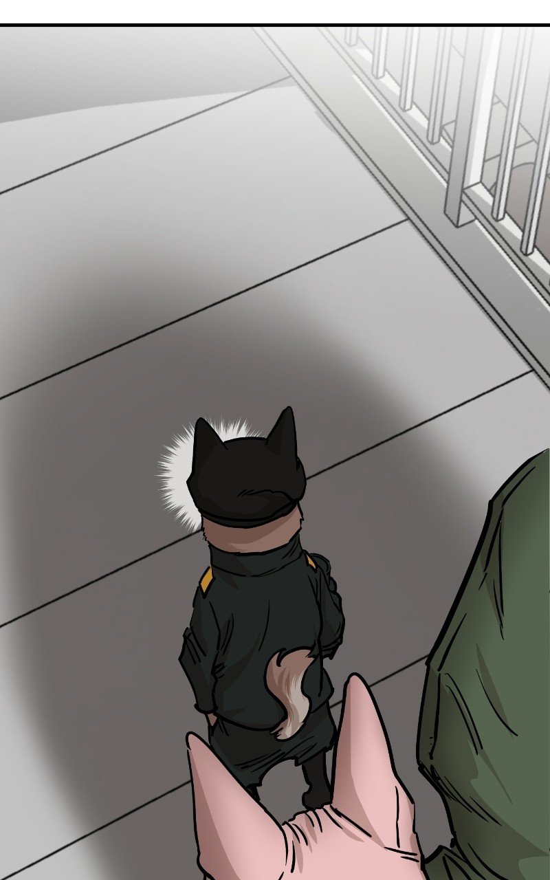 Read Meow Rangers Manga Online