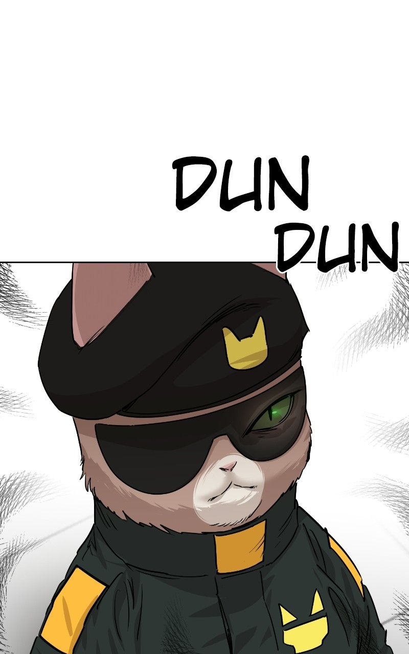 Read Meow Rangers Manga Online