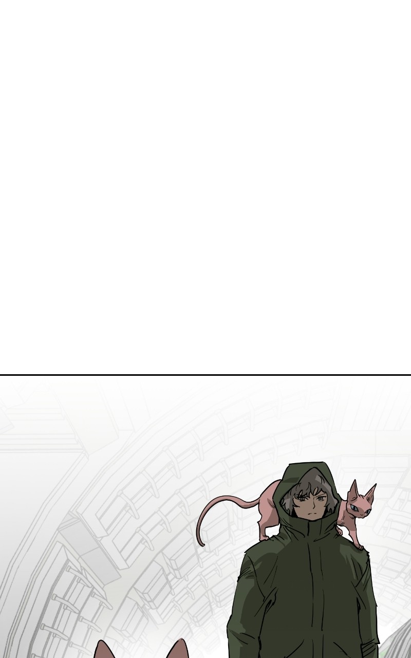 Read Meow Rangers Manga Online