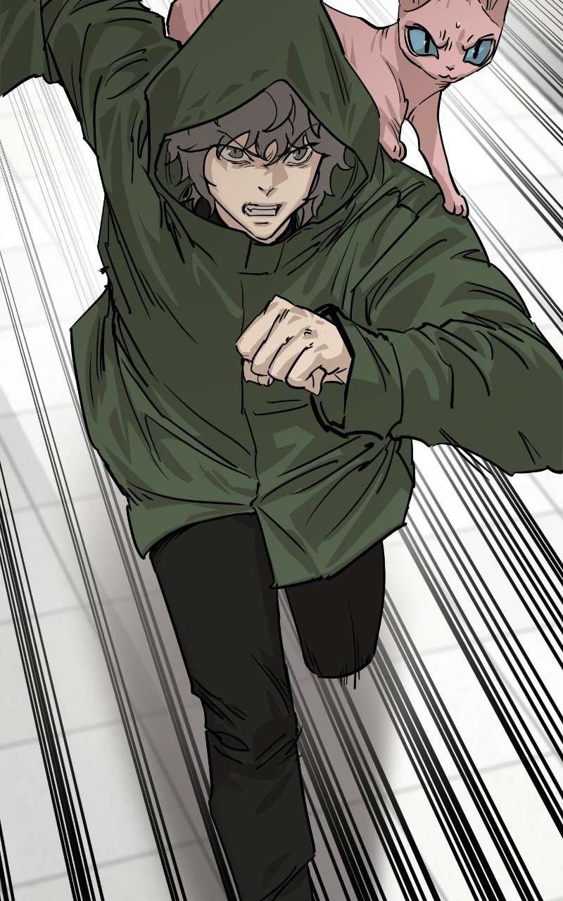 Read Meow Rangers Manga Online