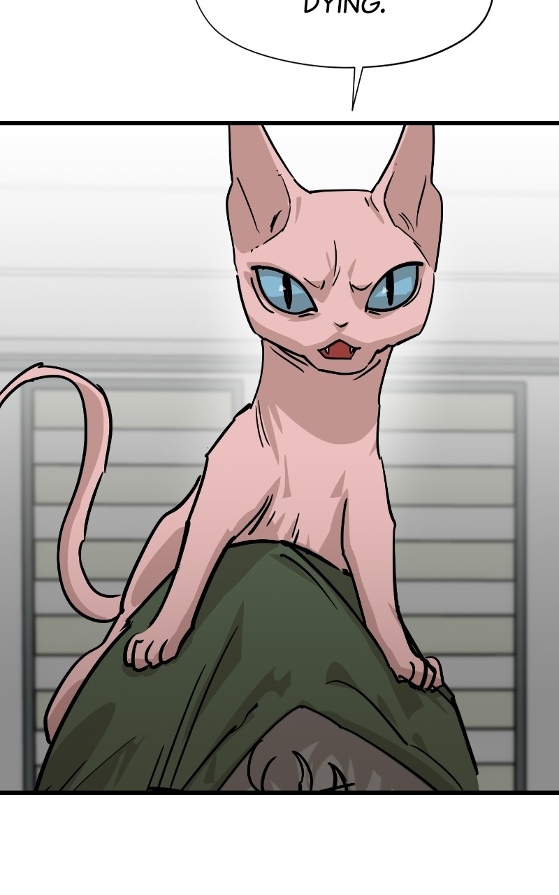 Read Meow Rangers Manga Online