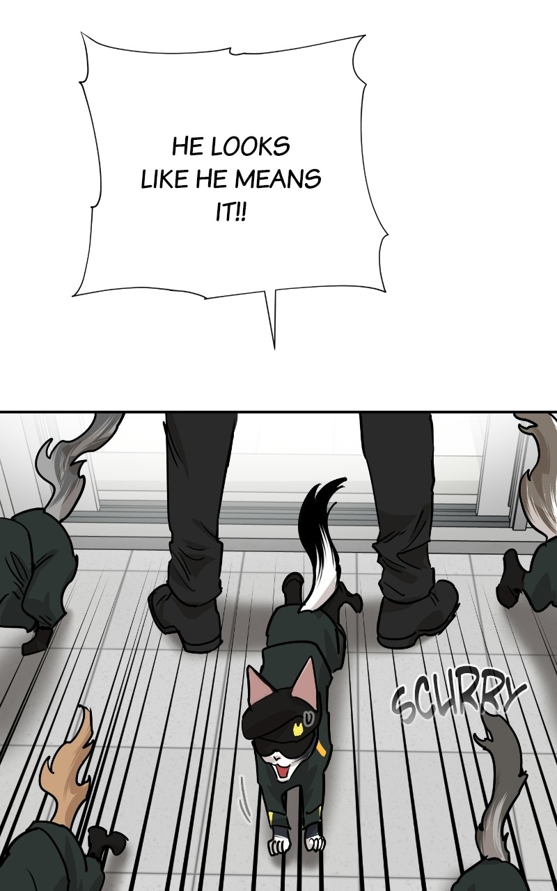 Read Meow Rangers Manga Online