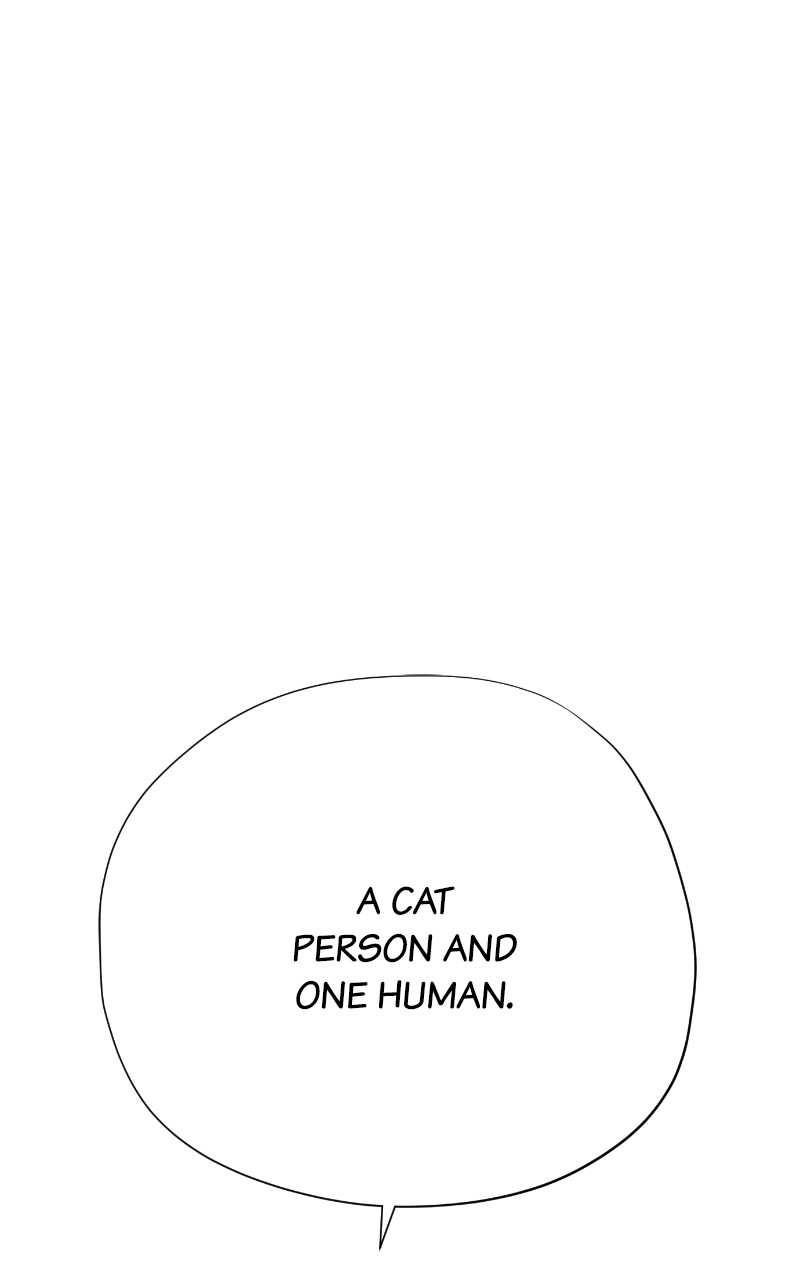 Read Meow Rangers Manga Online