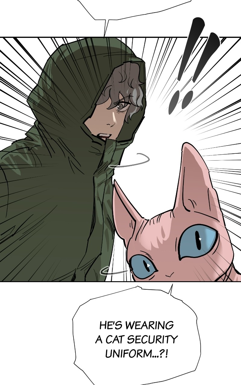 Read Meow Rangers Manga Online