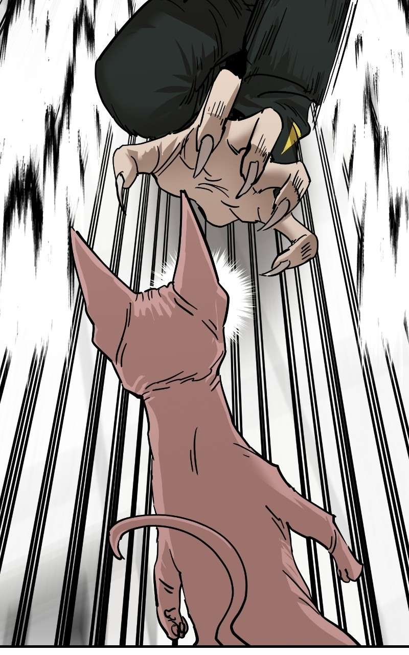 Read Meow Rangers Manga Online