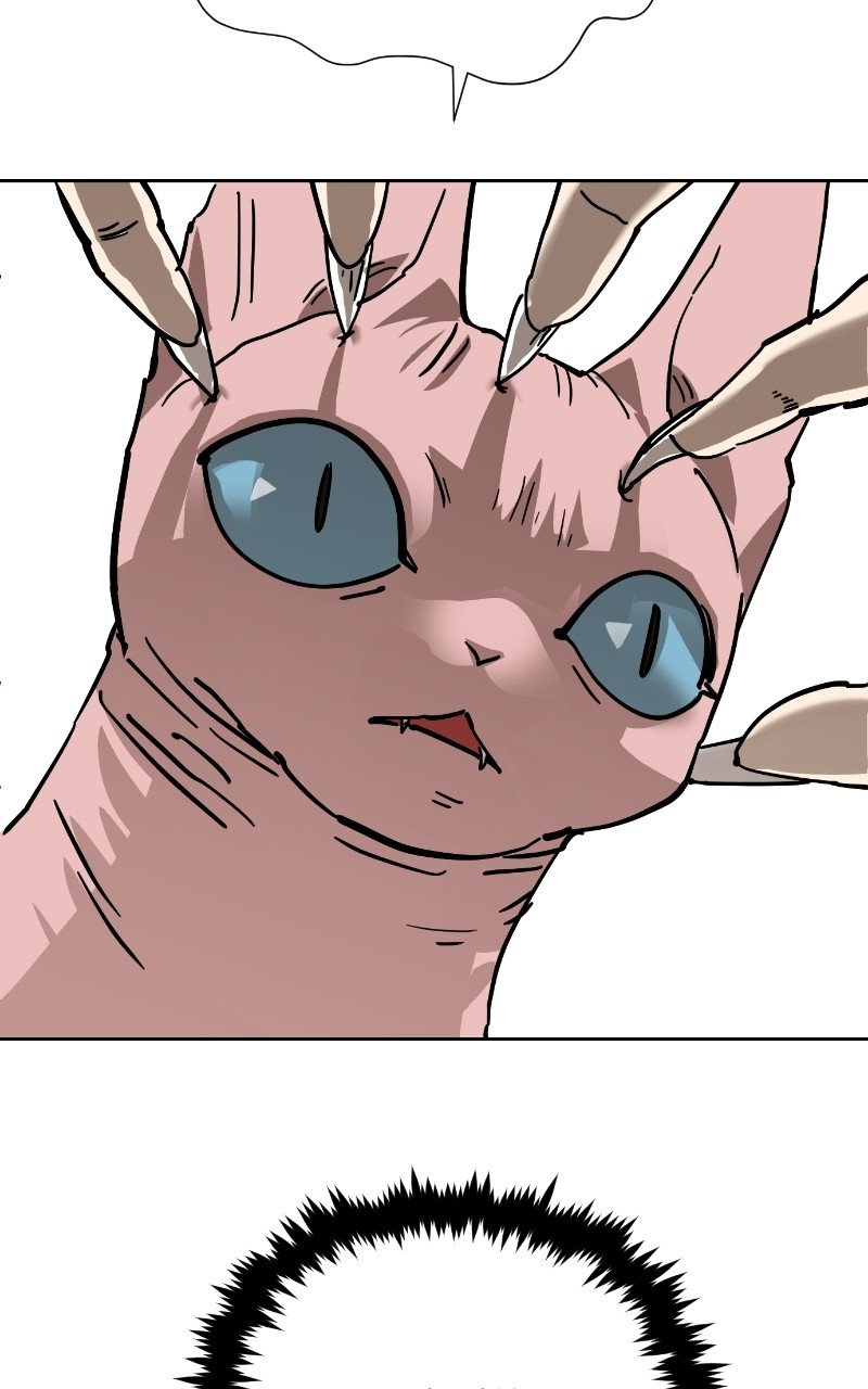 Read Meow Rangers Manga Online