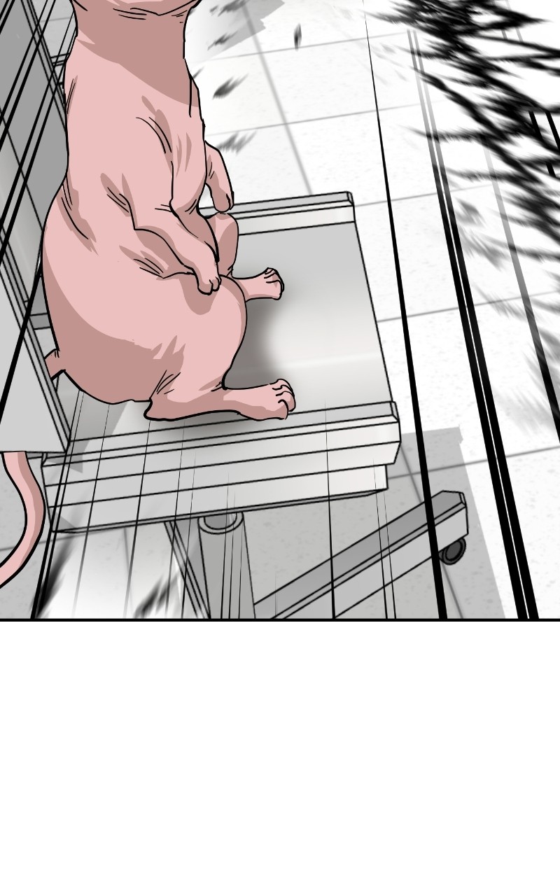 Read Meow Rangers Manga Online