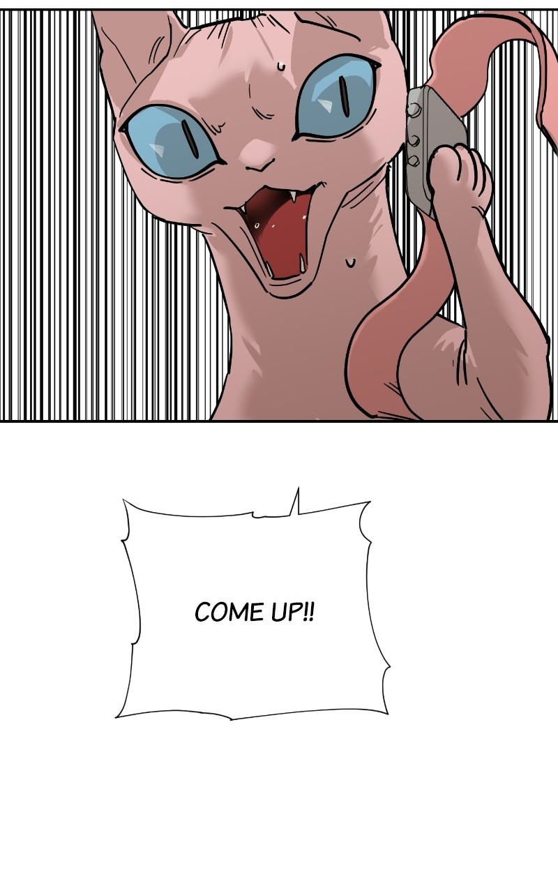 Read Meow Rangers Manga Online