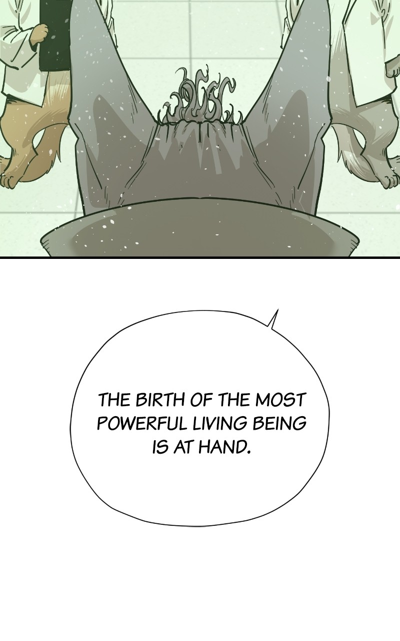 Read Meow Rangers Manga Online