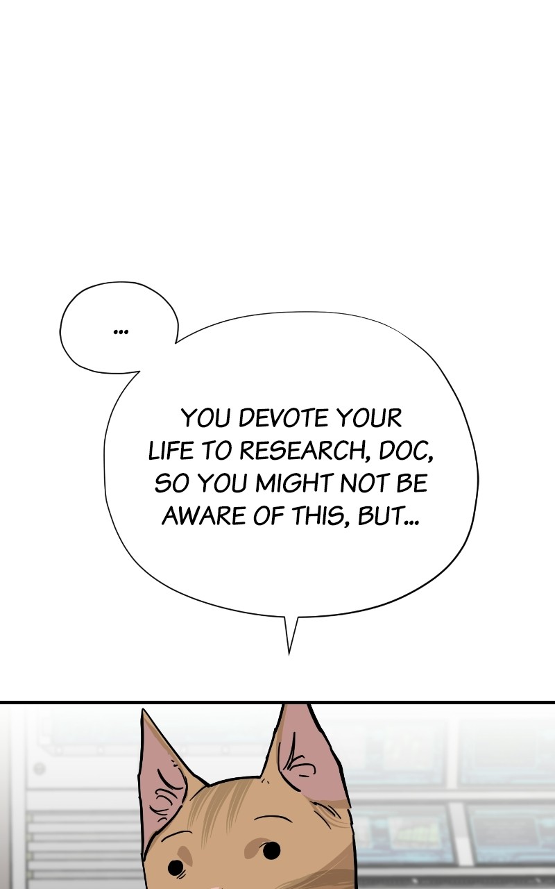 Read Meow Rangers Manga Online