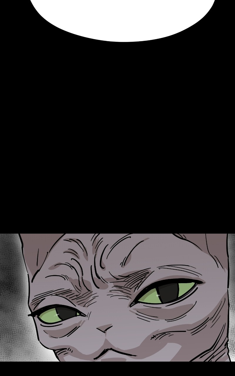 Read Meow Rangers Manga Online