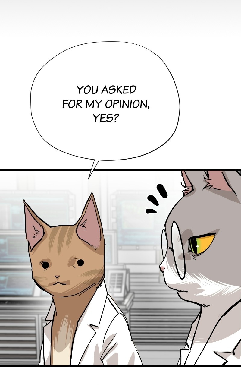 Read Meow Rangers Manga Online