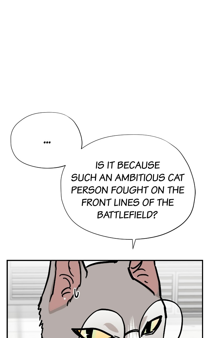 Read Meow Rangers Manga Online