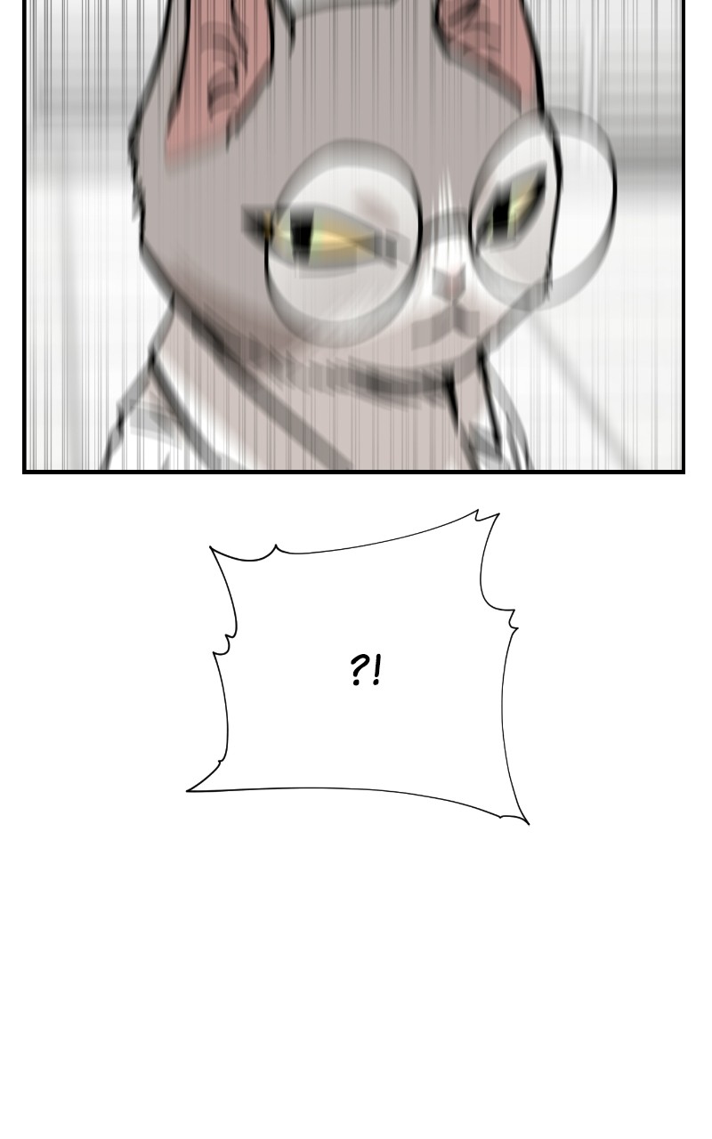 Read Meow Rangers Manga Online