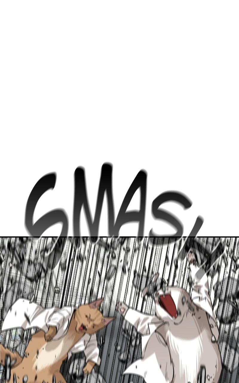 Read Meow Rangers Manga Online