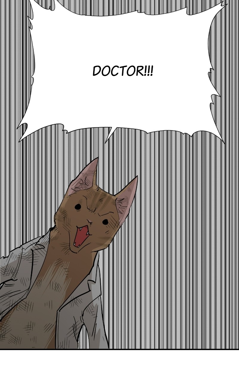 Read Meow Rangers Manga Online