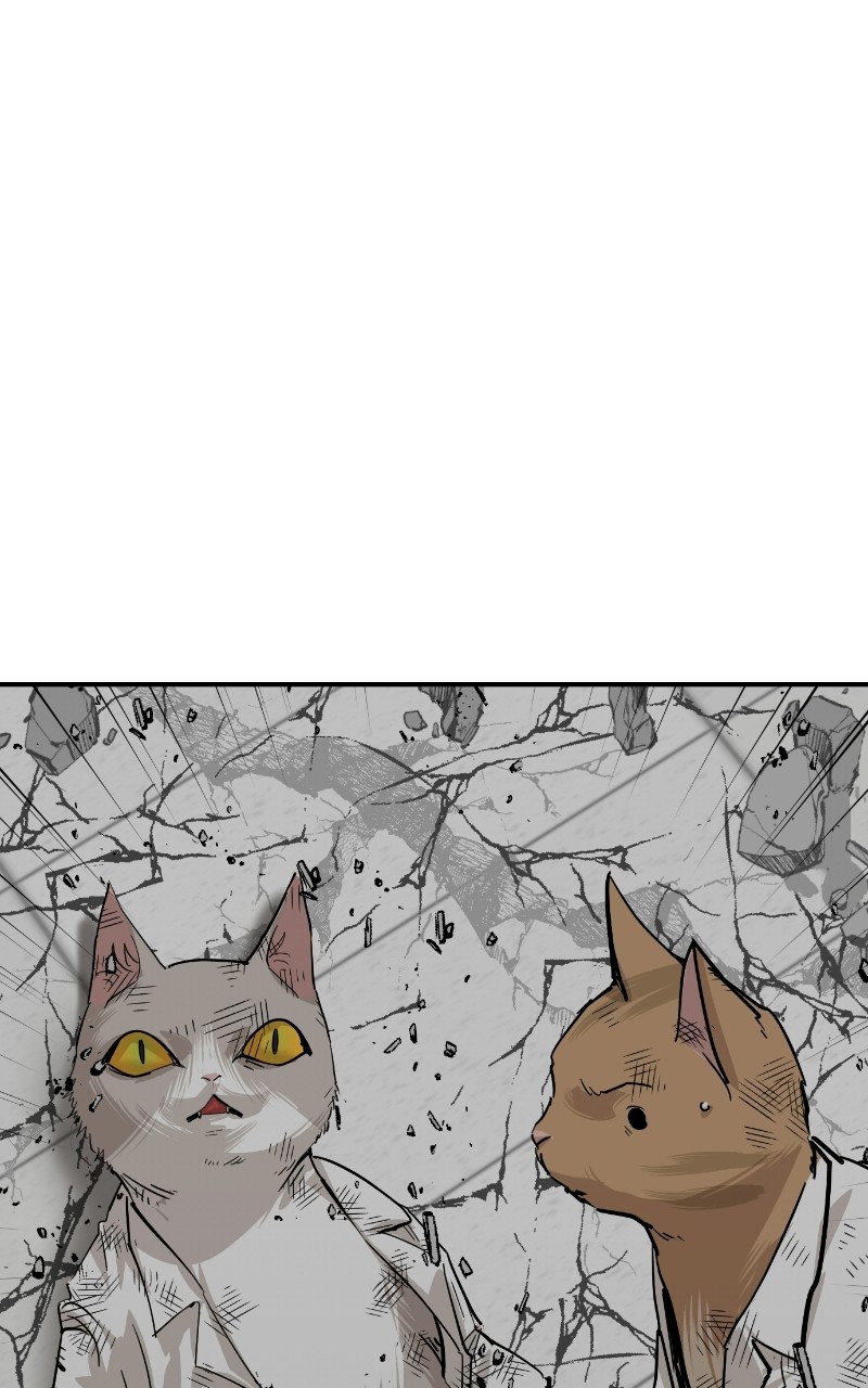 Read Meow Rangers Manga Online