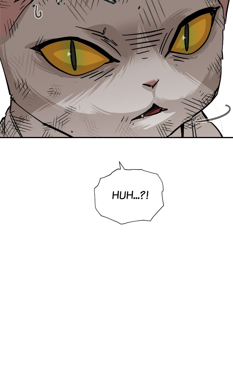 Read Meow Rangers Manga Online