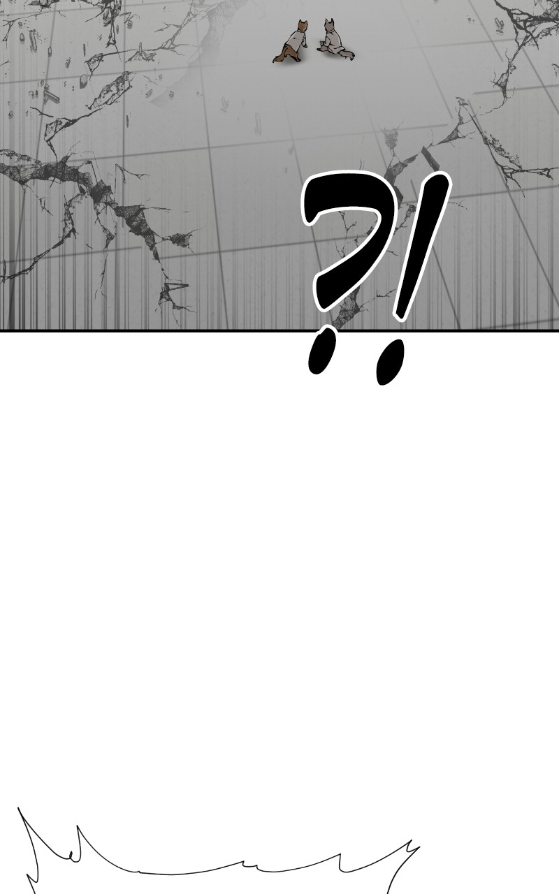 Read Meow Rangers Manga Online