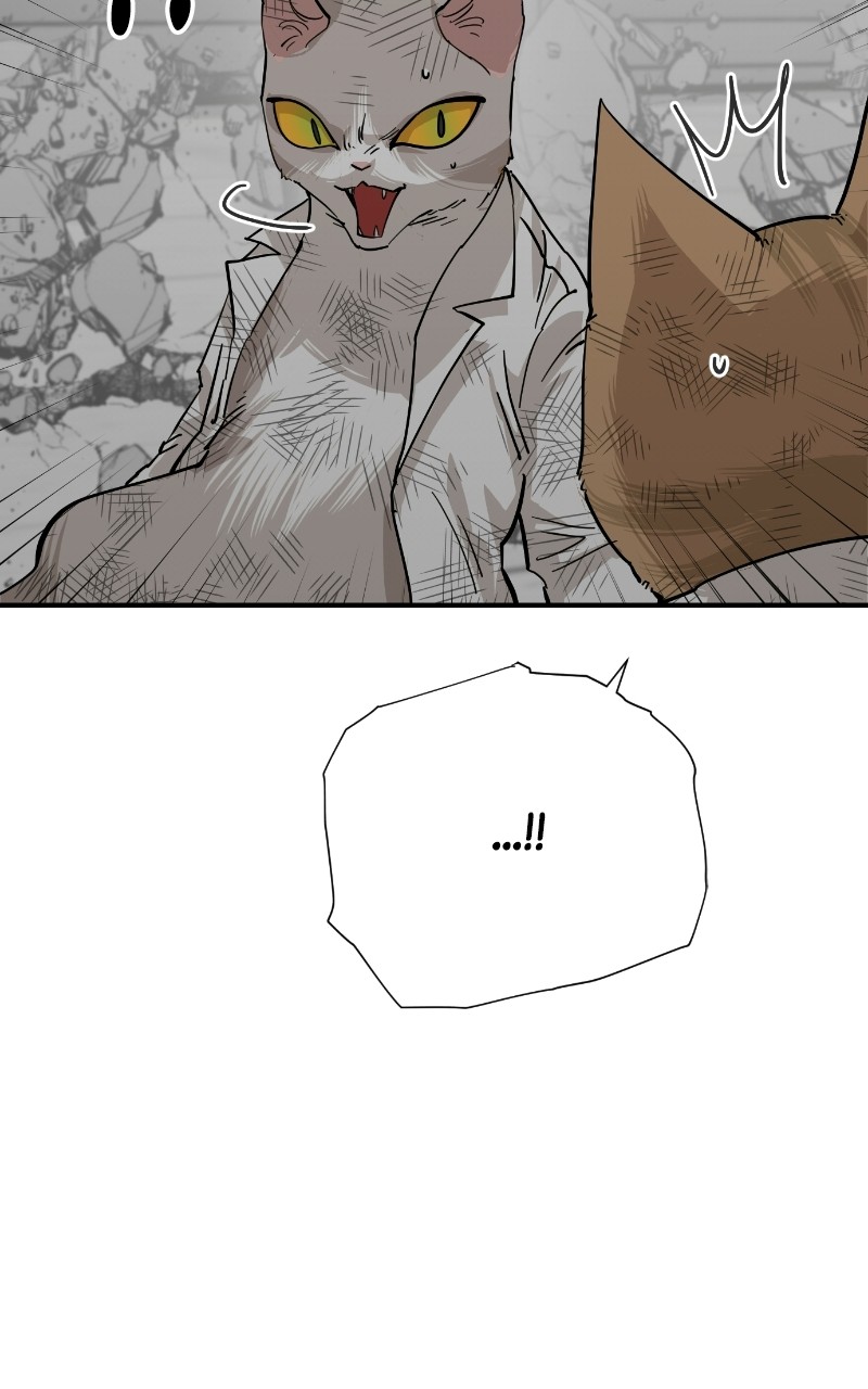 Read Meow Rangers Manga Online