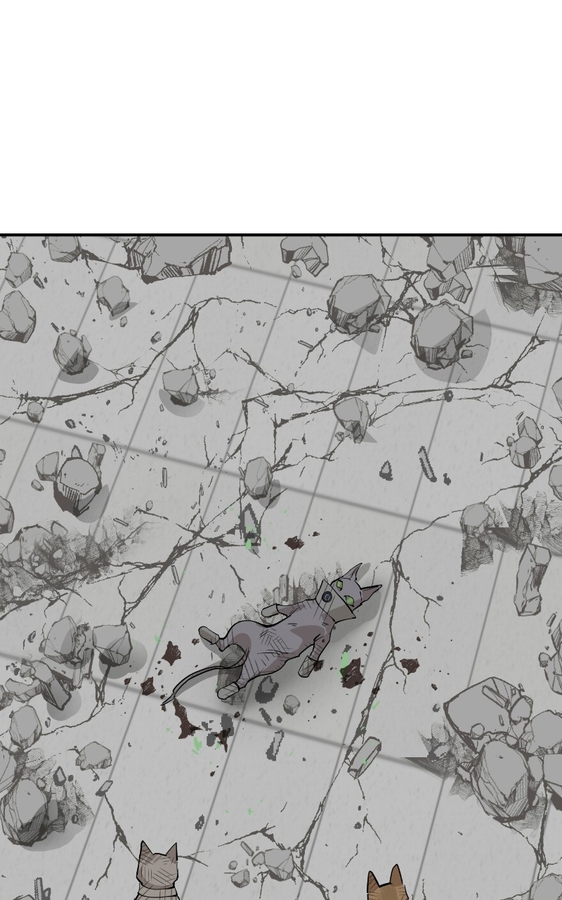 Read Meow Rangers Manga Online