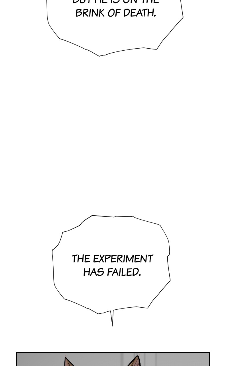 Read Meow Rangers Manga Online