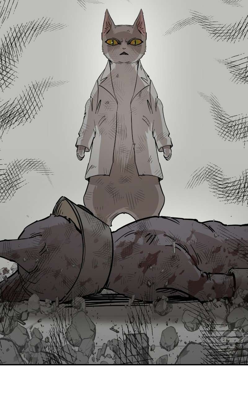 Read Meow Rangers Manga Online