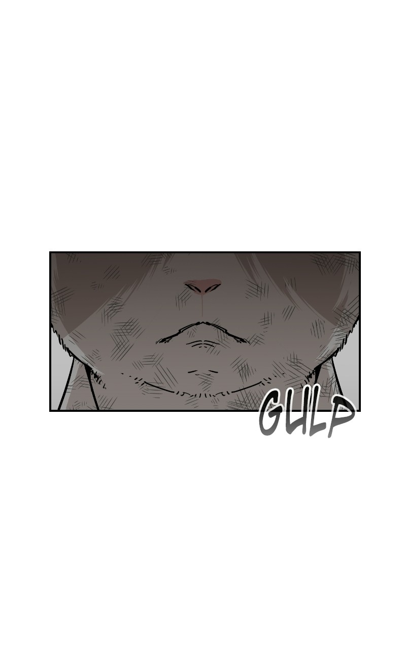 Read Meow Rangers Manga Online